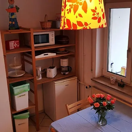 Central Flat In City Mannheim